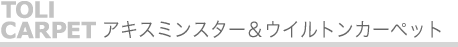 �A�L�X�~���X�^�[���E�C���g���J�[�y�b�g
