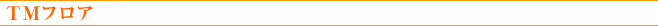 TM�t���A