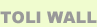 TOLI�@WALL