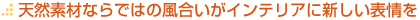 �V�R�f�ނȂ�ł͂̕��������A�C���e���A�ɐV�����\���