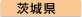 ��錧