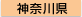 �_�ސ쌧