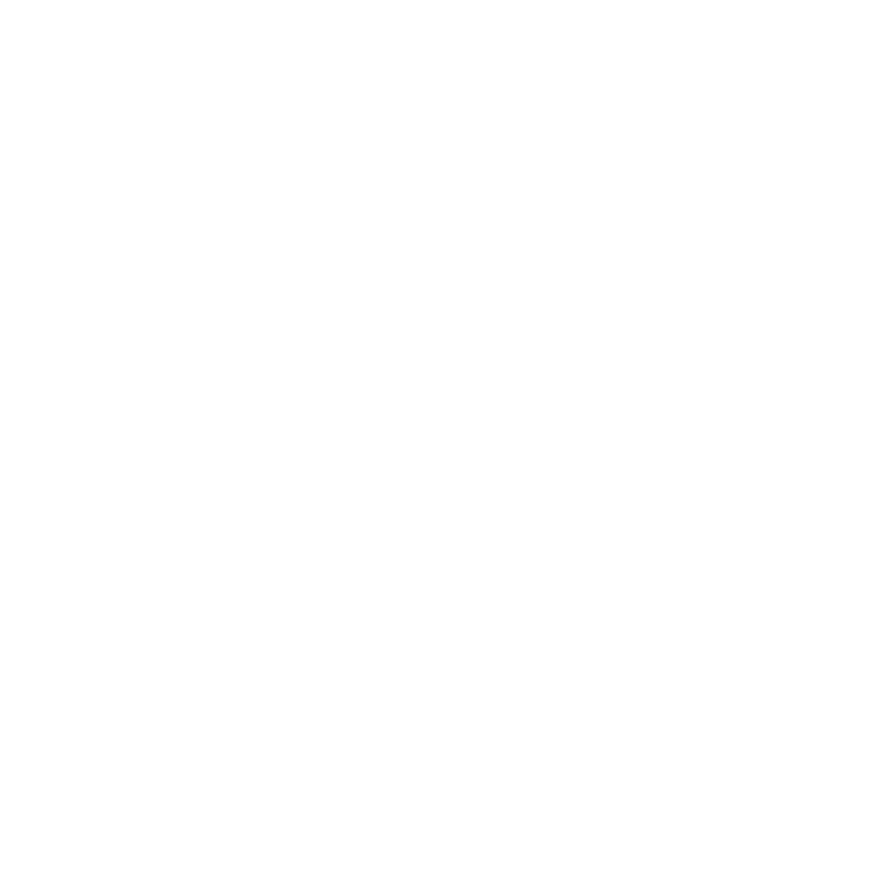 NEW LINE UP 2021