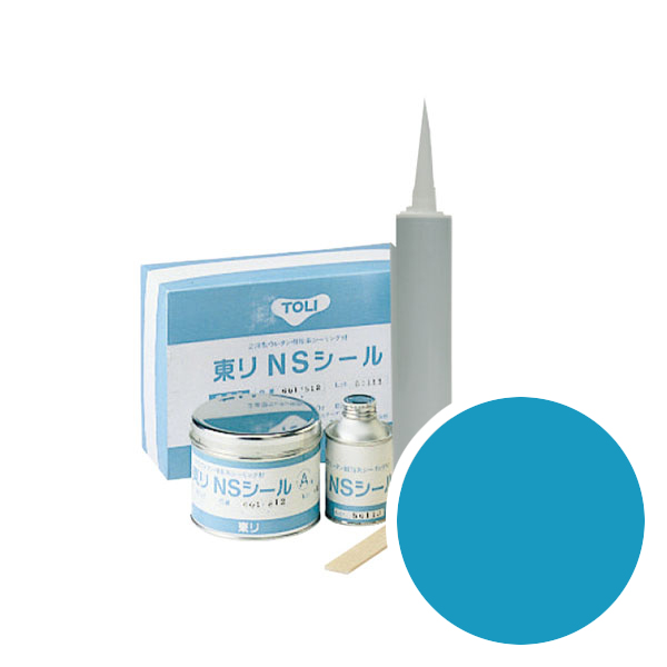 NSSL580