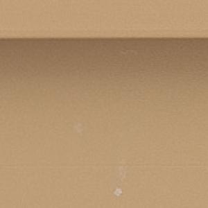PM007