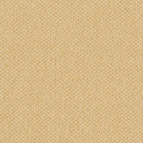 AK3566_20241017_155422.jpg
