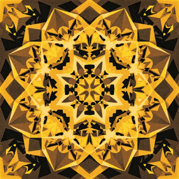 EXC2512F_20231018_133446.jpg