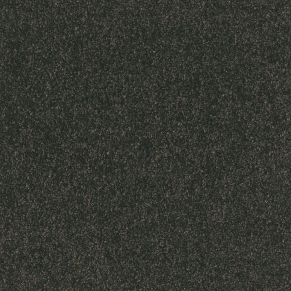 FF2404_20241017_161516.jpg