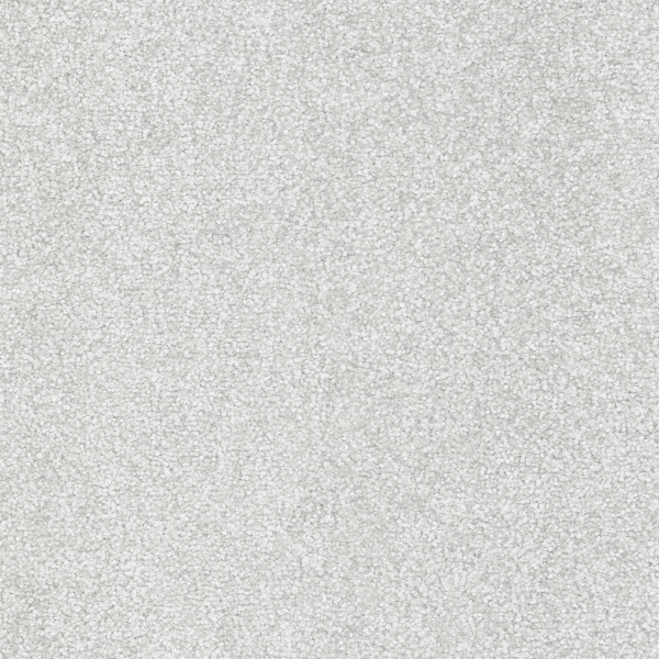 FF2409_20241017_161533.jpg