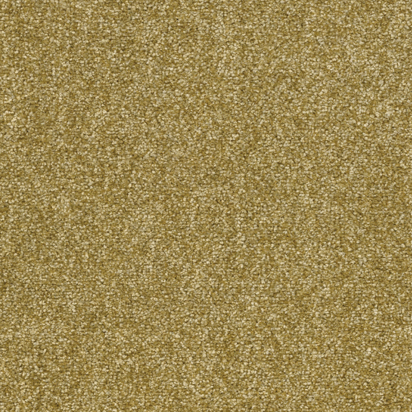 FF2414_20241017_161558.jpg
