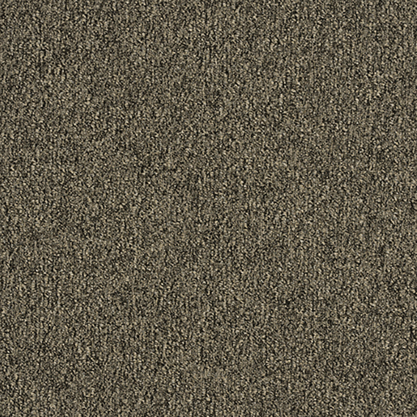 GA36010_A_1_20241203_162930.jpg