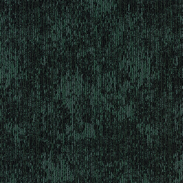 GA36306_20241017_111623.jpg