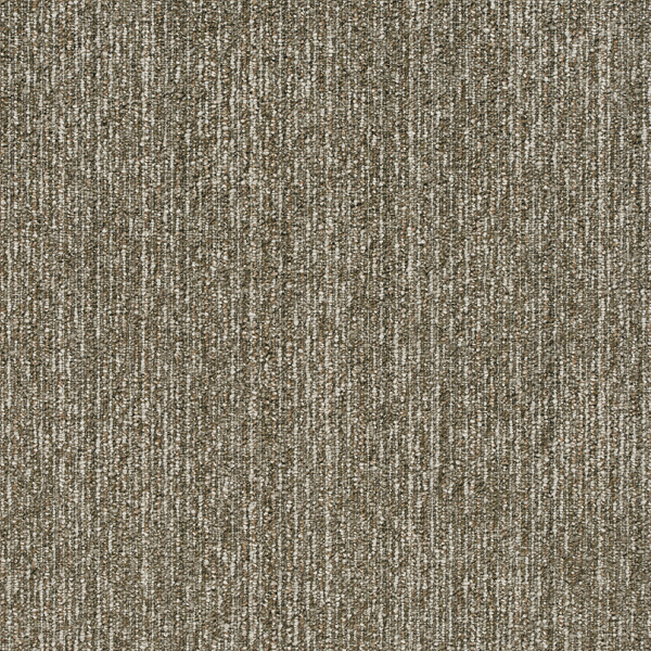 GA3646_20241017_110955.jpg