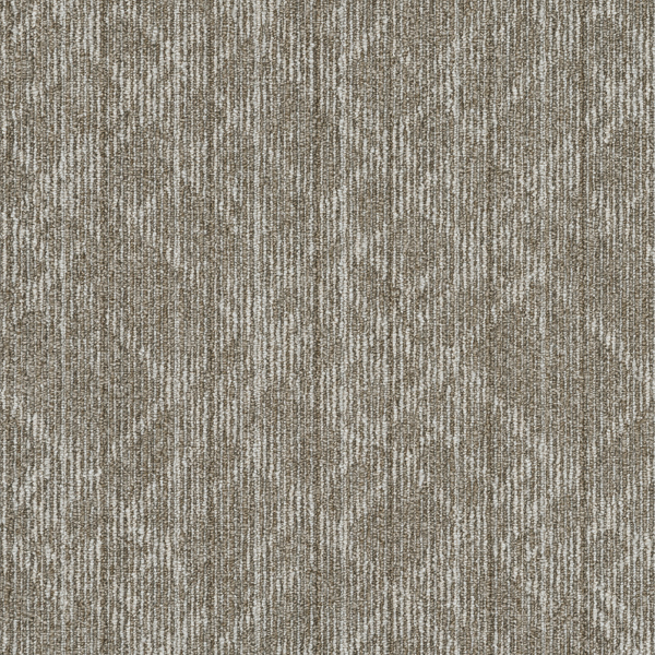 GA3677_20241017_110853.jpg