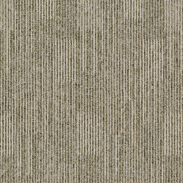 GA5601_20241017_114212.jpg