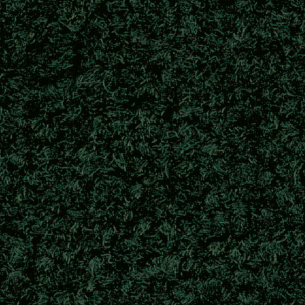 GX2058_20241017_130135.jpg
