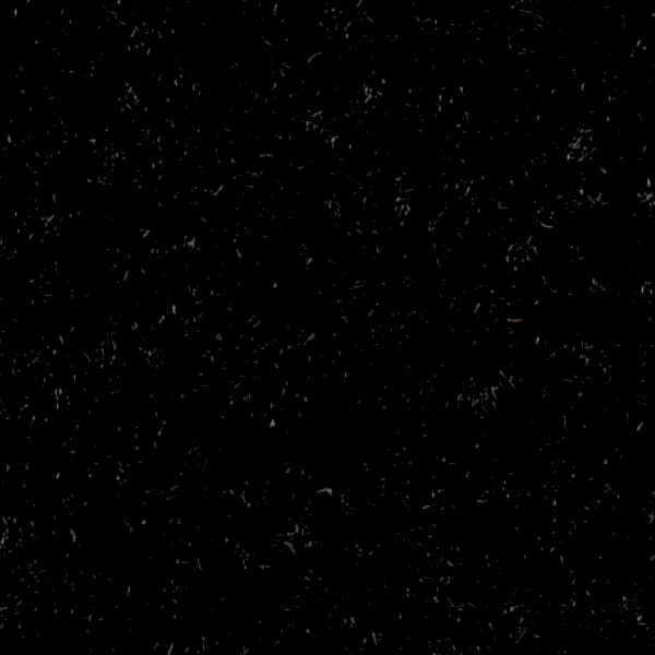 GX2059_20241017_130140.jpg