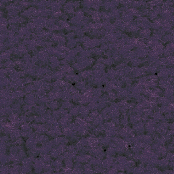 GX2069_20241017_130250.jpg