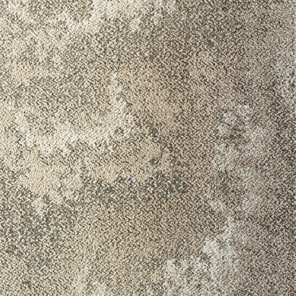 GX4806_20241017_133509.jpg