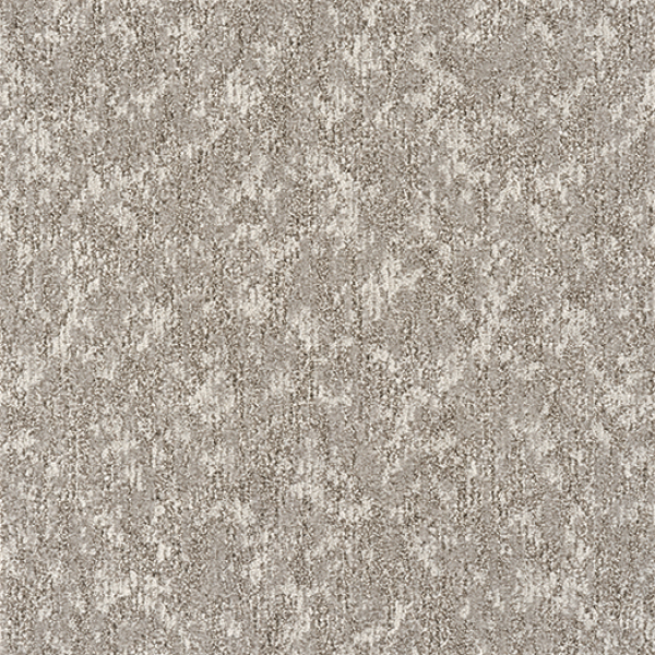 GX7651_20241017_134040.jpg