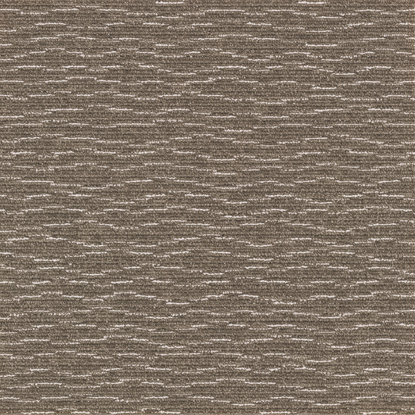 GX7815_20241017_135103.jpg