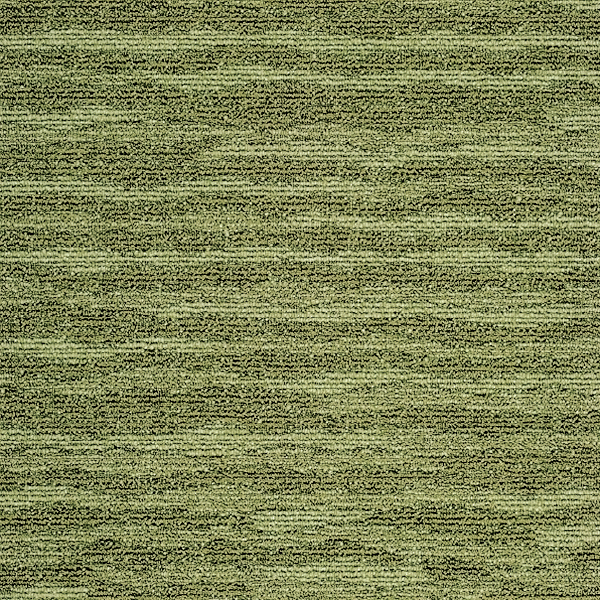 GX8059_20241017_135430.jpg
