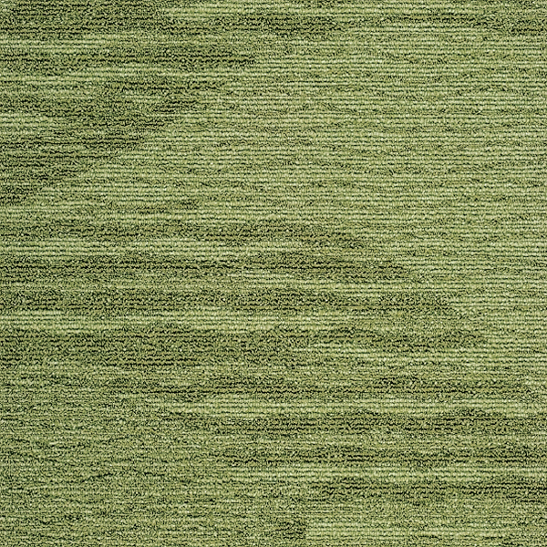 GX8069_20241017_135458.jpg