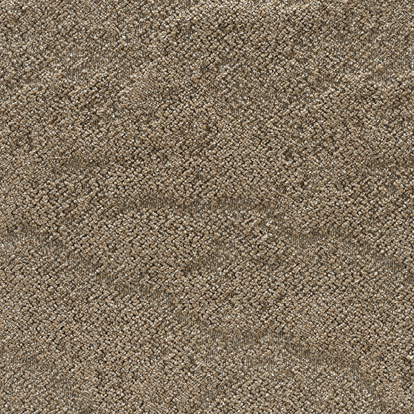 GX81014_20241017_141942.jpg