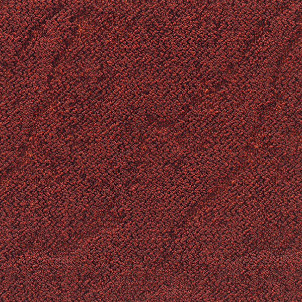 GX81017_20241017_142003.jpg