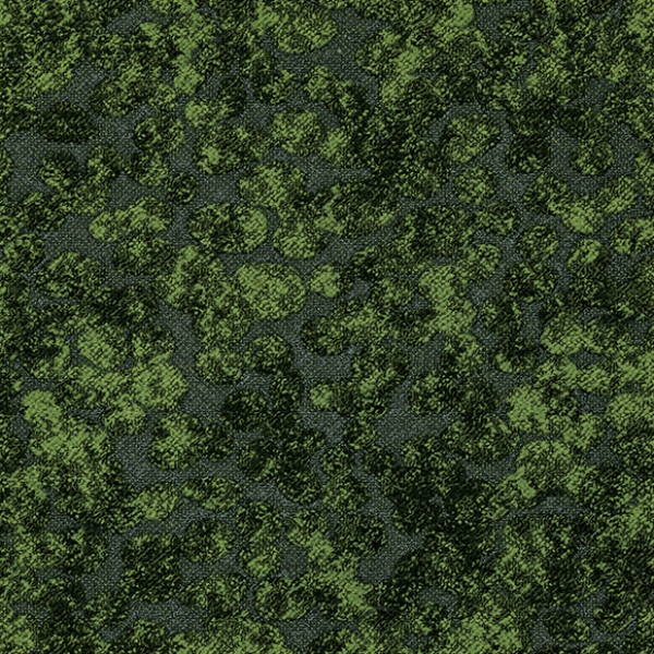MT3811F_20241017_132615.jpg