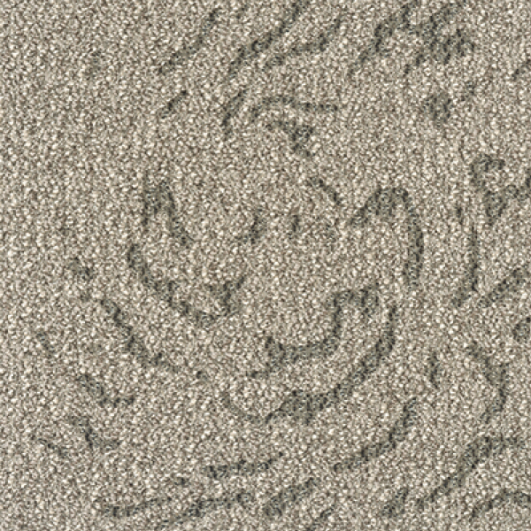 MT5151F_20241017_134631.jpg