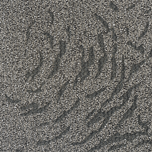 MT5154F_20241017_134639.jpg