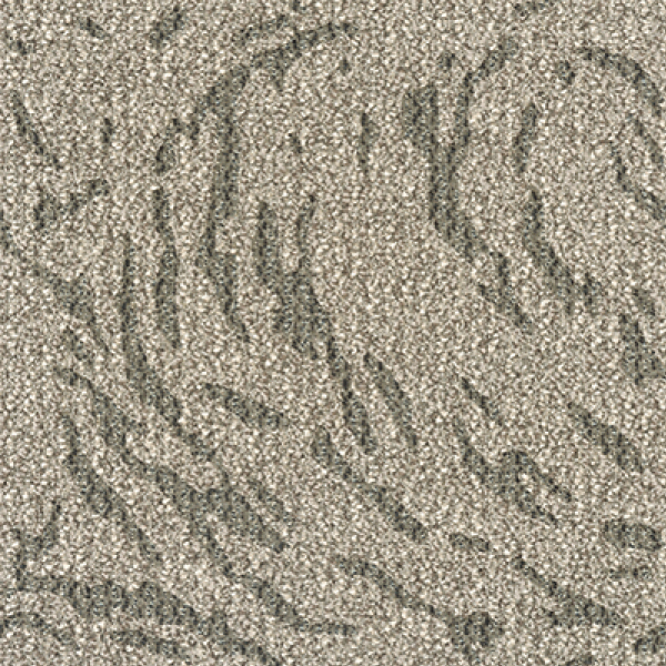 MT5171F_2_20241017_134700.jpg