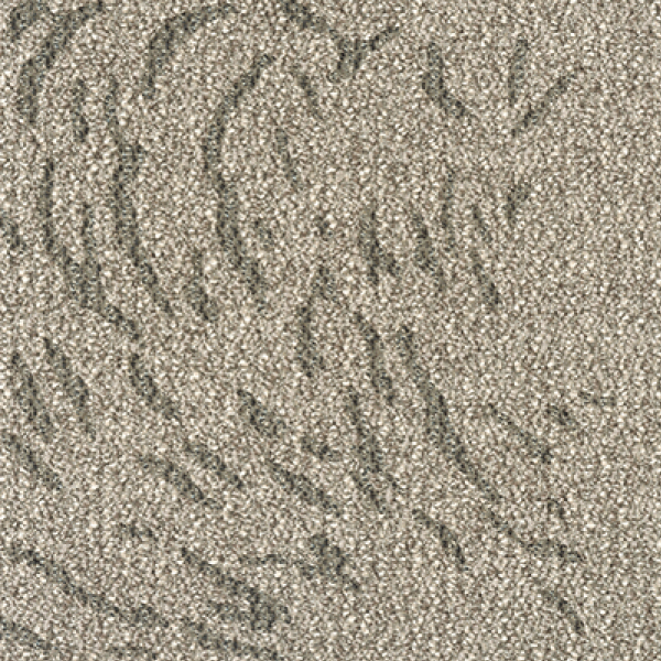 MT5191F_20241017_134710.jpg