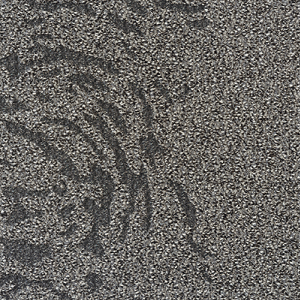 MT5194F_20241017_134726.jpg