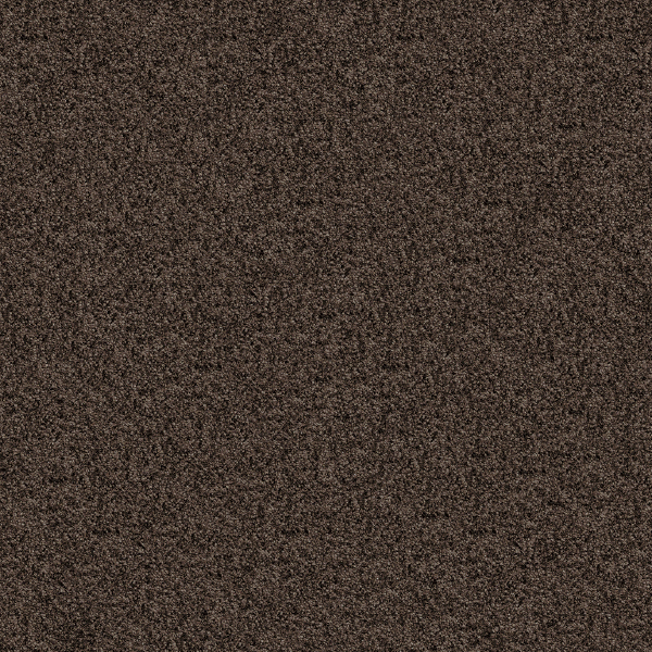 PRS104_20191009_155056.jpg