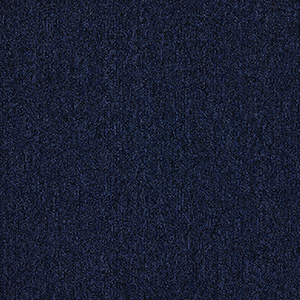 GA1019