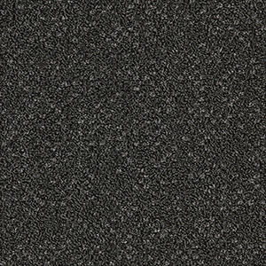 GA10233T