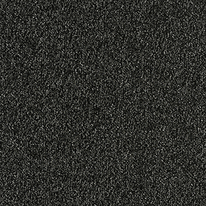 GA36004