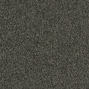 GA36007
