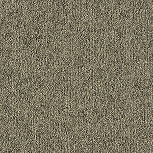 GA36009