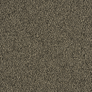 GA36010