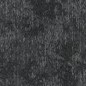 GA36303