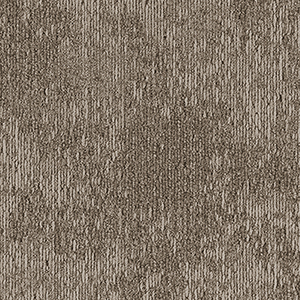 GA36304