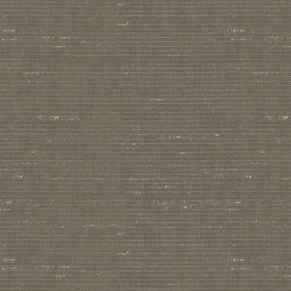 TKF11037.jpg