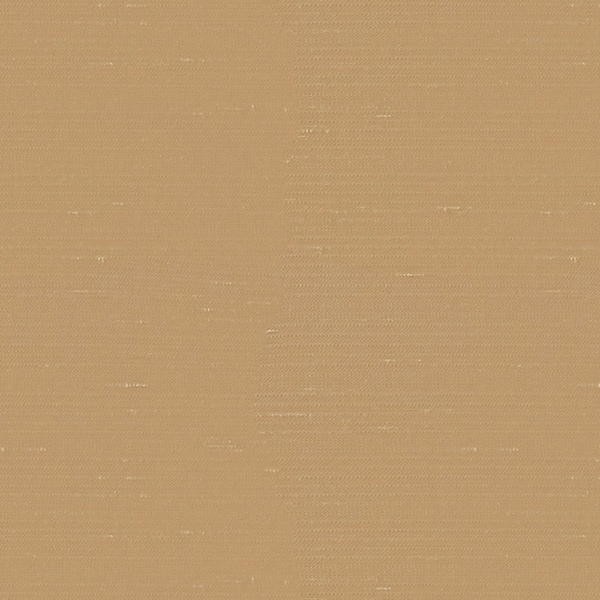 TKF11039.jpg