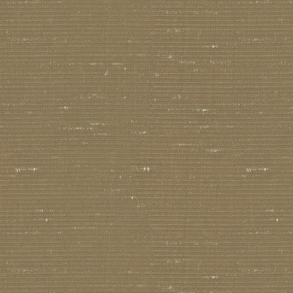 TKF11041