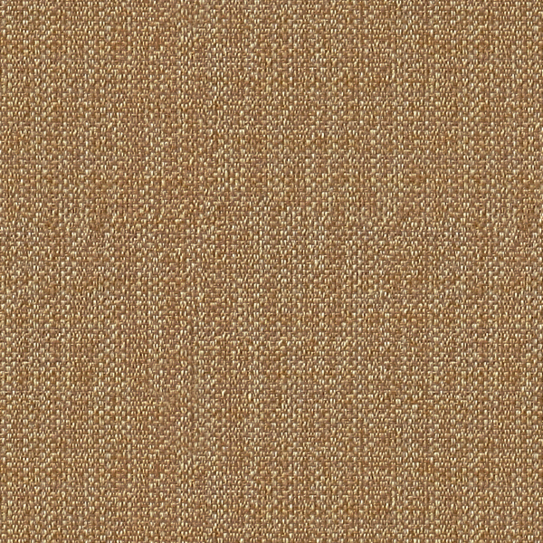 TKF11103.jpg