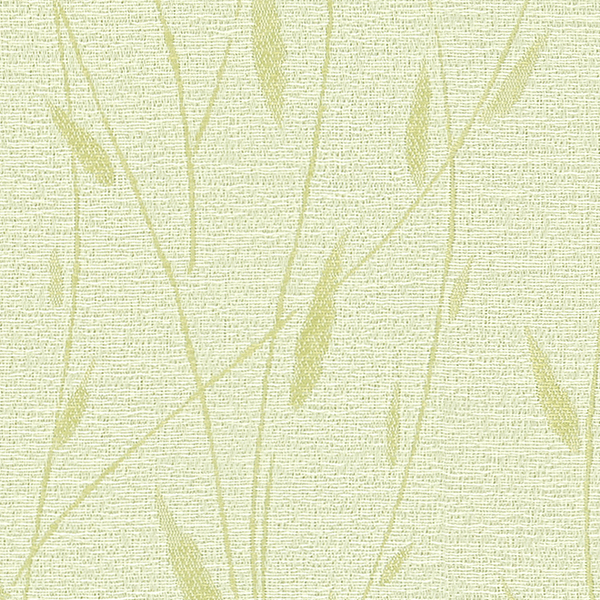 TKF11128.jpg