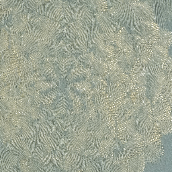 TKF11174.jpg